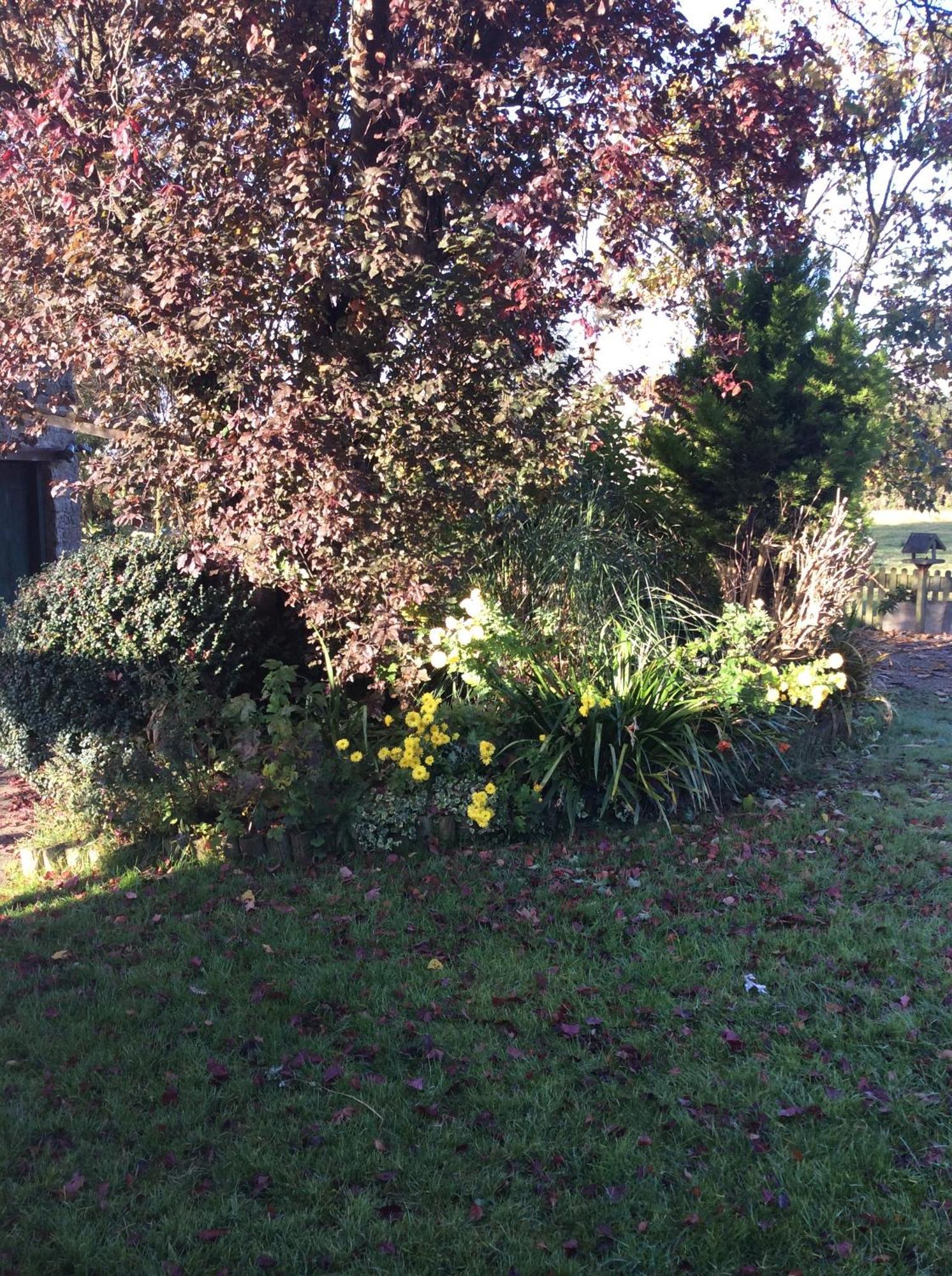 Poplar Farm Bed & Breakfast Wedmore Exterior foto