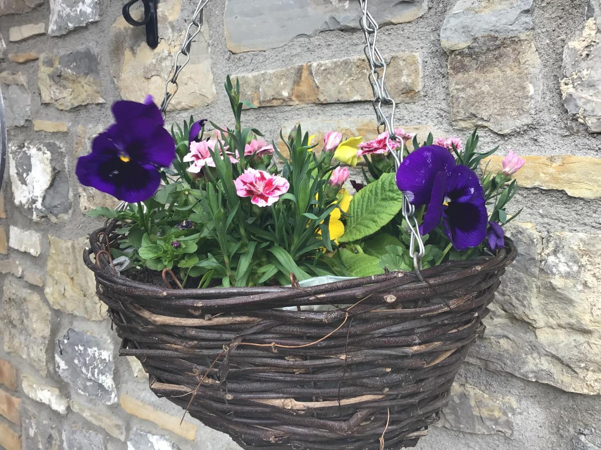 Poplar Farm Bed & Breakfast Wedmore Exterior foto